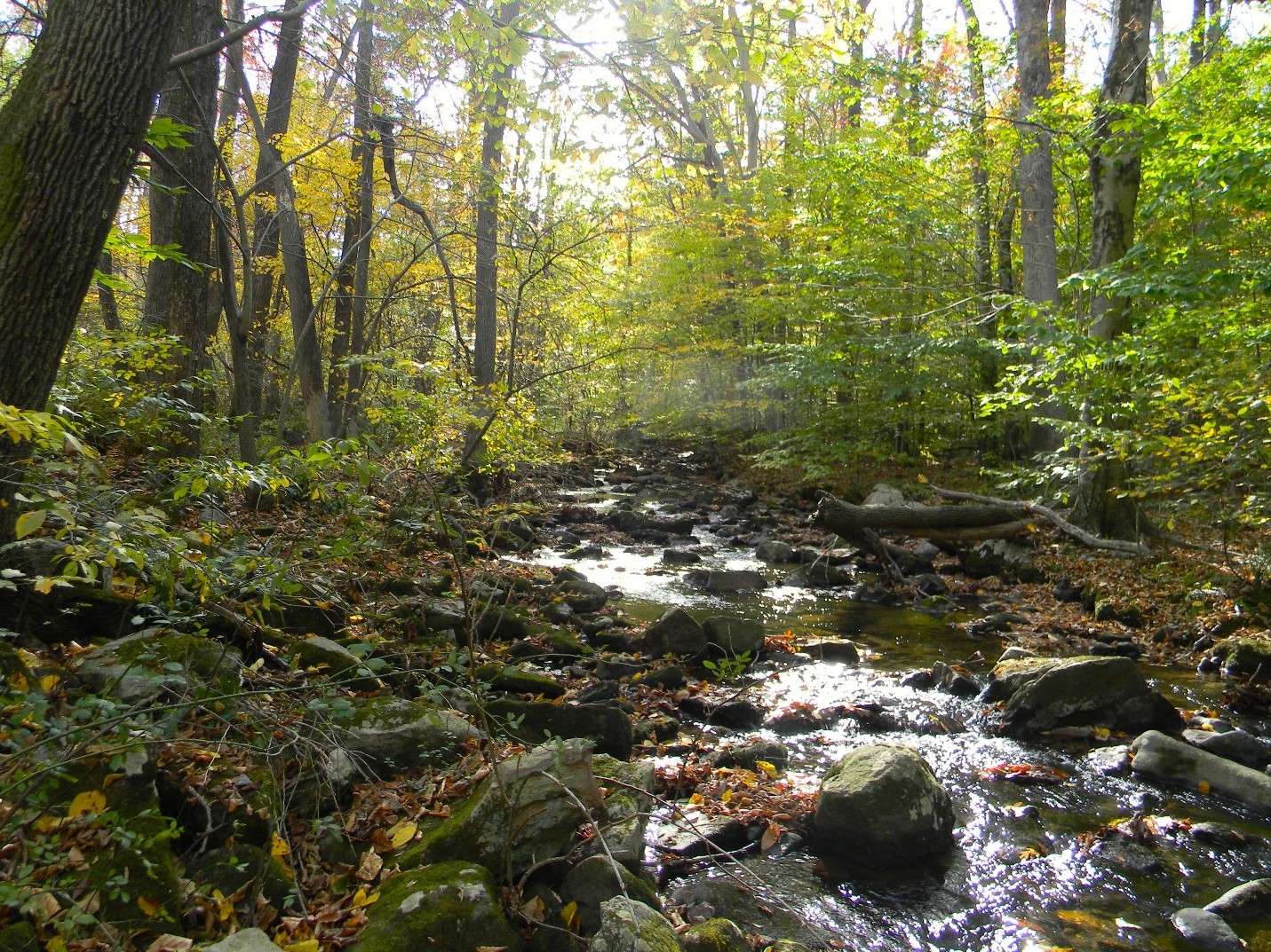 Oxford Mountain NRA