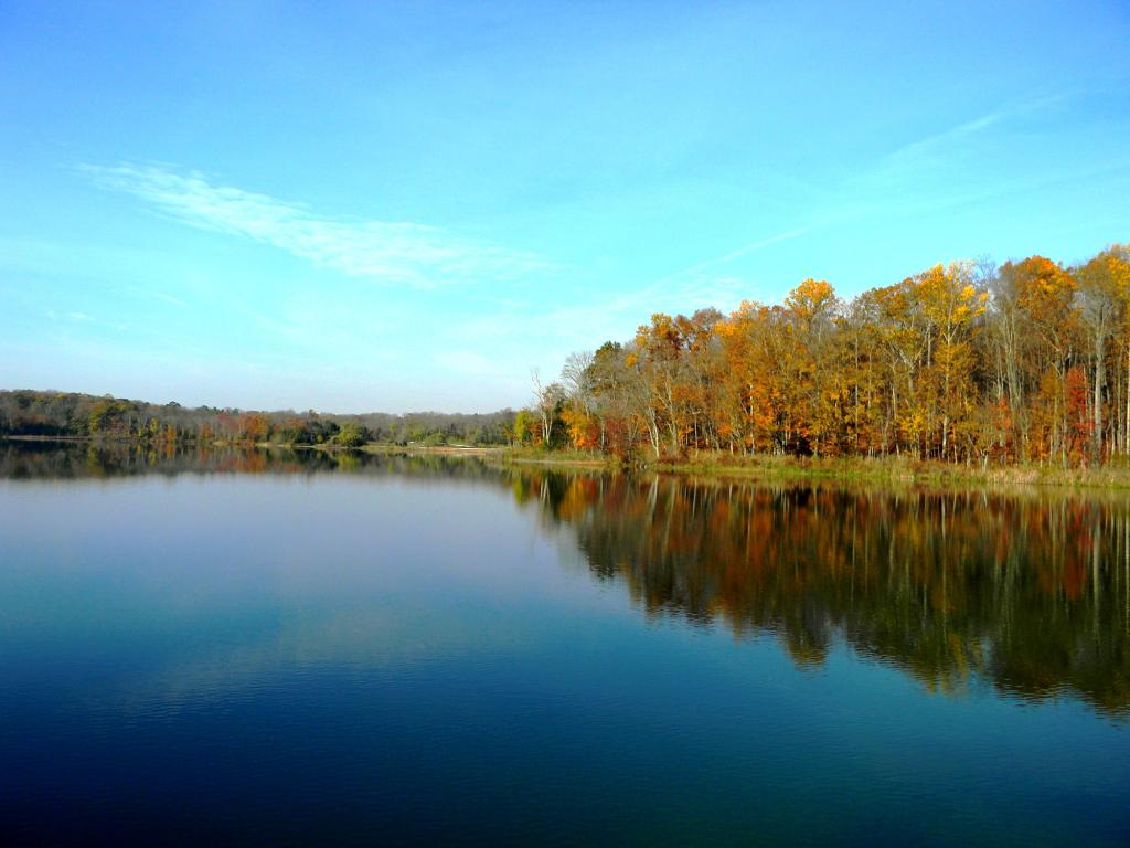 White Lake Natural Resource Area - Photo by Teresa Kaminski